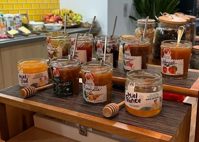 Odalys - Toulouse Aeroport 4*